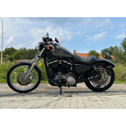 Harley-Davidson Sportster Iron 883  2022 rok